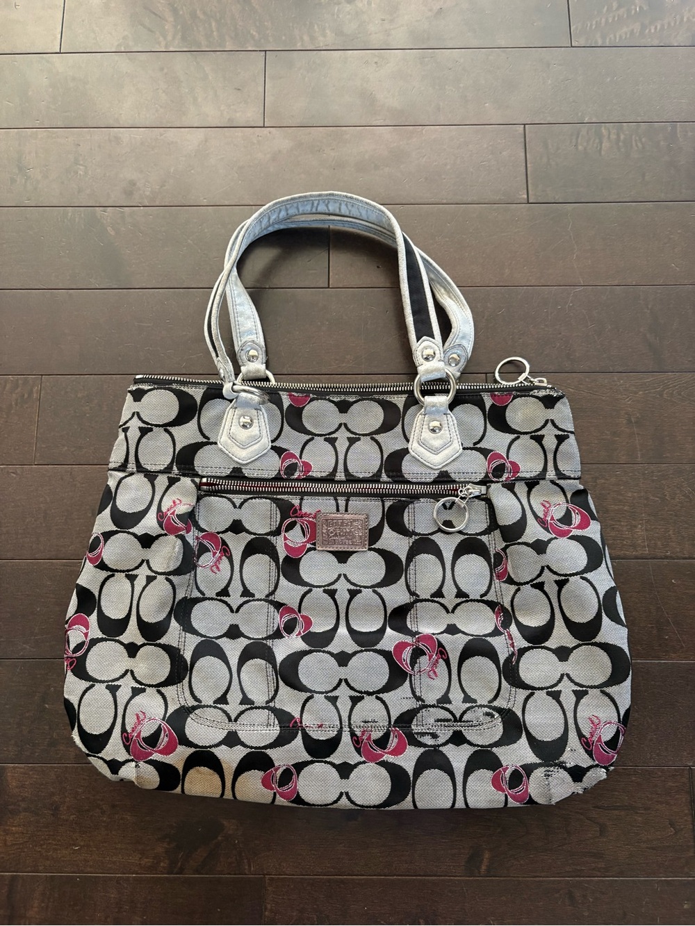 Y2K coach bag